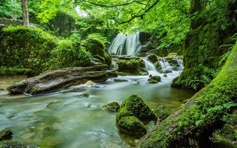 稳定性高性能